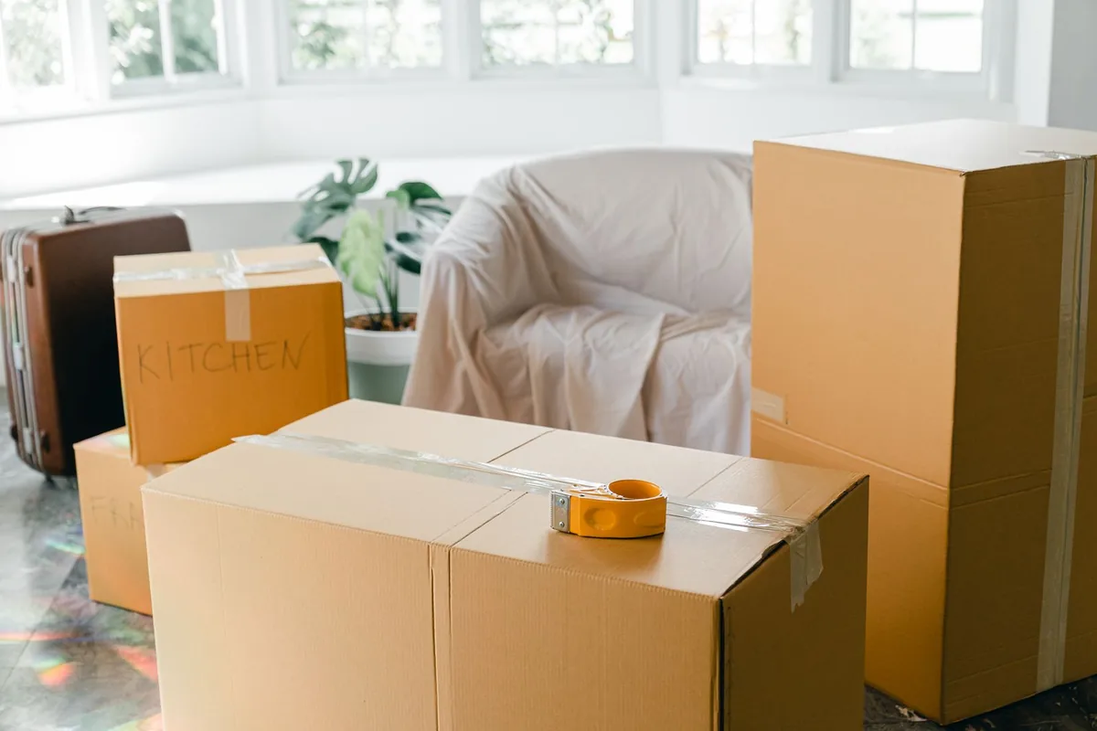 Hoarding Cleanup in Shanor-Northvue, PA